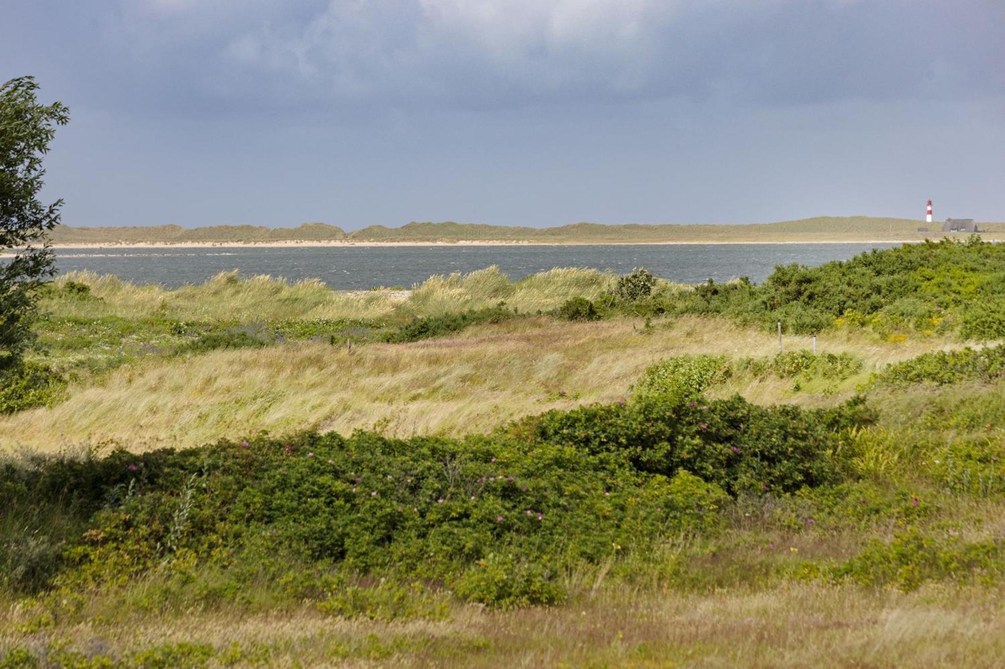 Landsend *