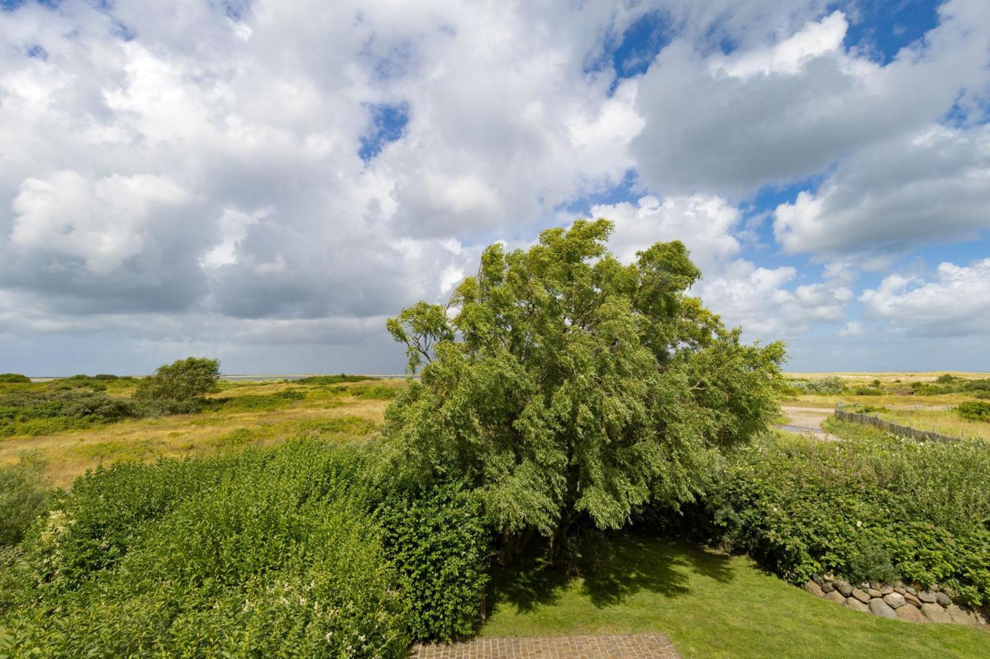 Landsend * List auf Sylt